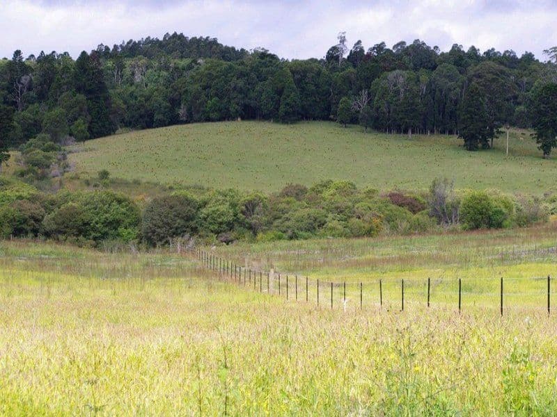 Lot 1 Cavanagh Road, LOWANNA NSW 2450, Lowanna - Image 1