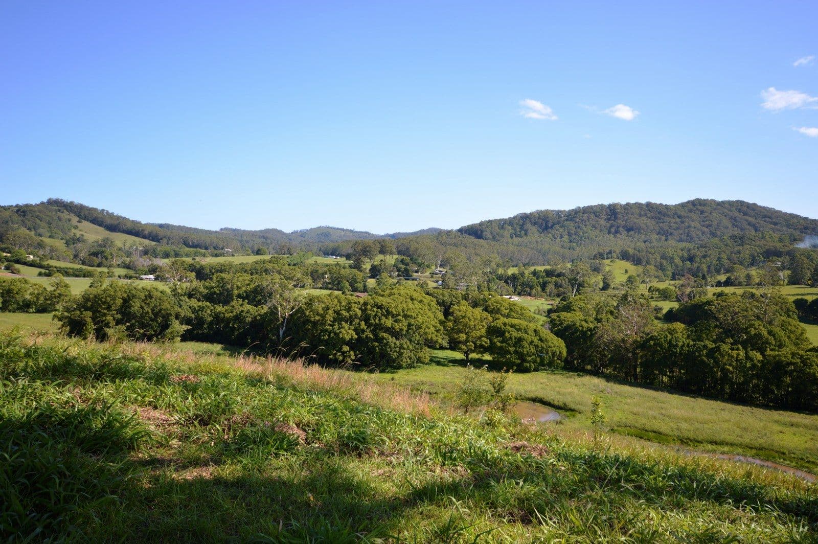Lot 22 Coramba Road, KARANGI NSW 2450, Karangi - Thumbnail 2