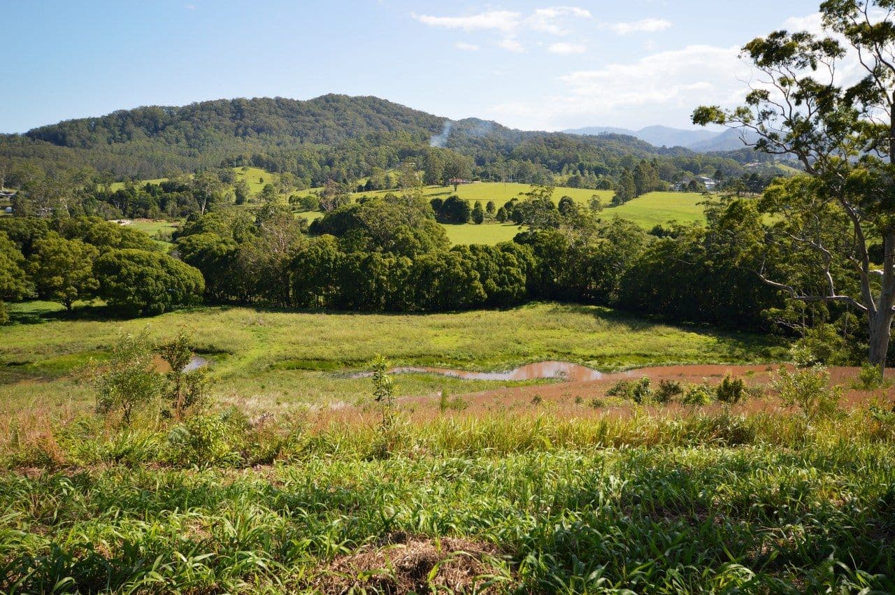 Lot 22 Coramba Road, KARANGI NSW 2450, Karangi - Thumbnail 3