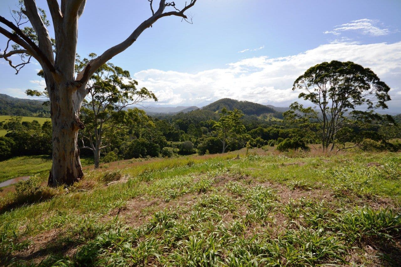 Lot 22 Coramba Road, KARANGI NSW 2450, Karangi - Thumbnail 4