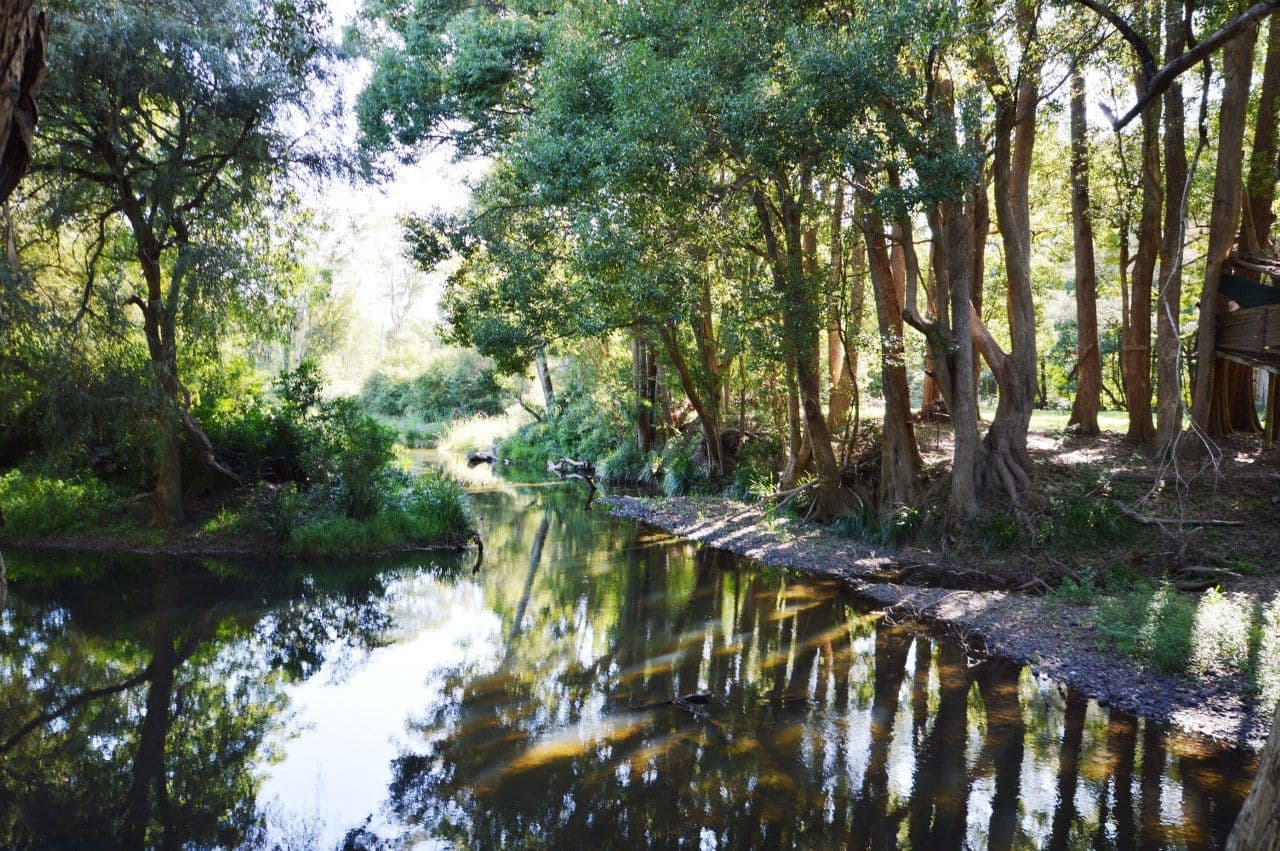 Lot 22 Coramba Road, KARANGI NSW 2450, Karangi - Thumbnail 5