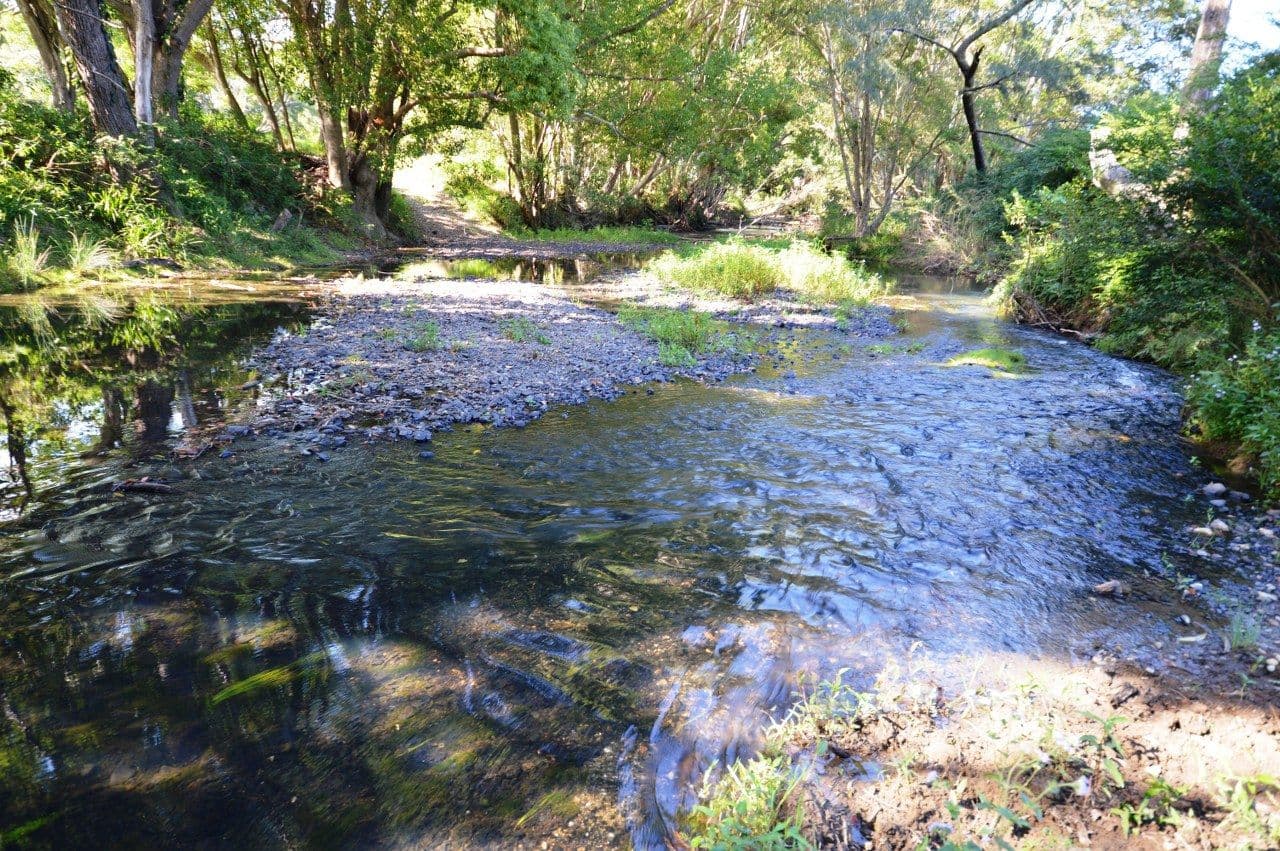 Lot 22 Coramba Road, KARANGI NSW 2450, Karangi - Thumbnail 6