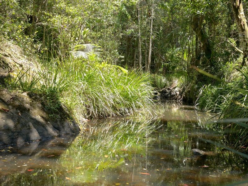 Lot 8 Gumbleton Road, Bilambil NSW 2486, Bilambil - Thumbnail 3