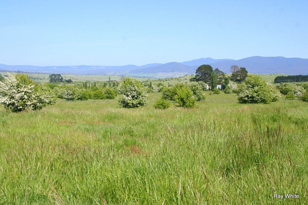 21 - 22 Majors Creek Road, BRAIDWOOD NSW 2622, Braidwood - Thumbnail 7