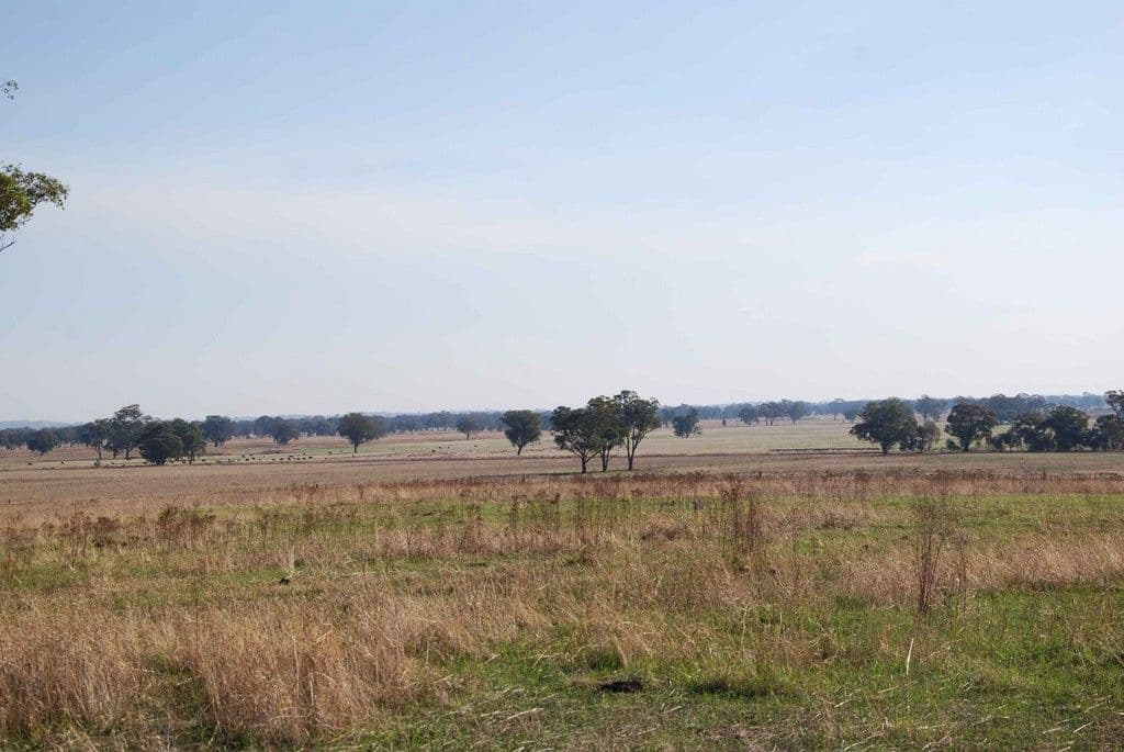 1194 Gooramadda Road, GOORAMADDA VIC 3685, Gooramadda - Thumbnail 3