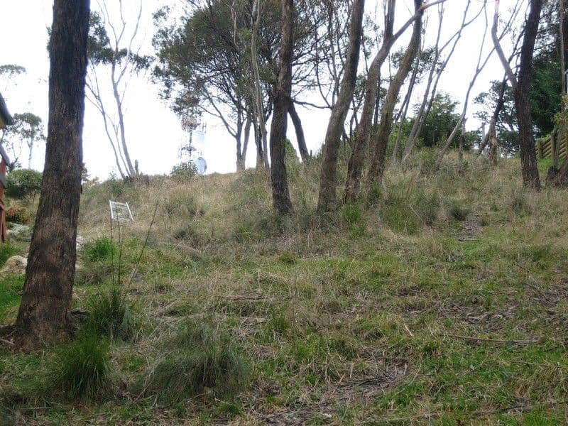 161 Great Western Highway, BLACKHEATH NSW 2785, Blackheath - Image 1