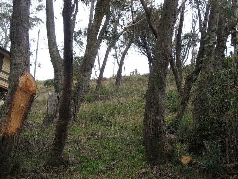 161 Great Western Highway, BLACKHEATH NSW 2785, Blackheath - Thumbnail 2