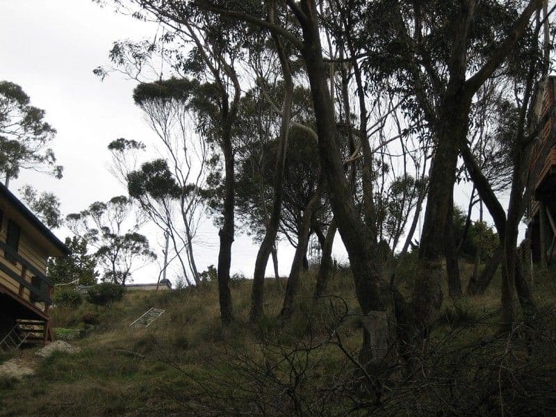 161 Great Western Highway, BLACKHEATH NSW 2785, Blackheath - Thumbnail 3