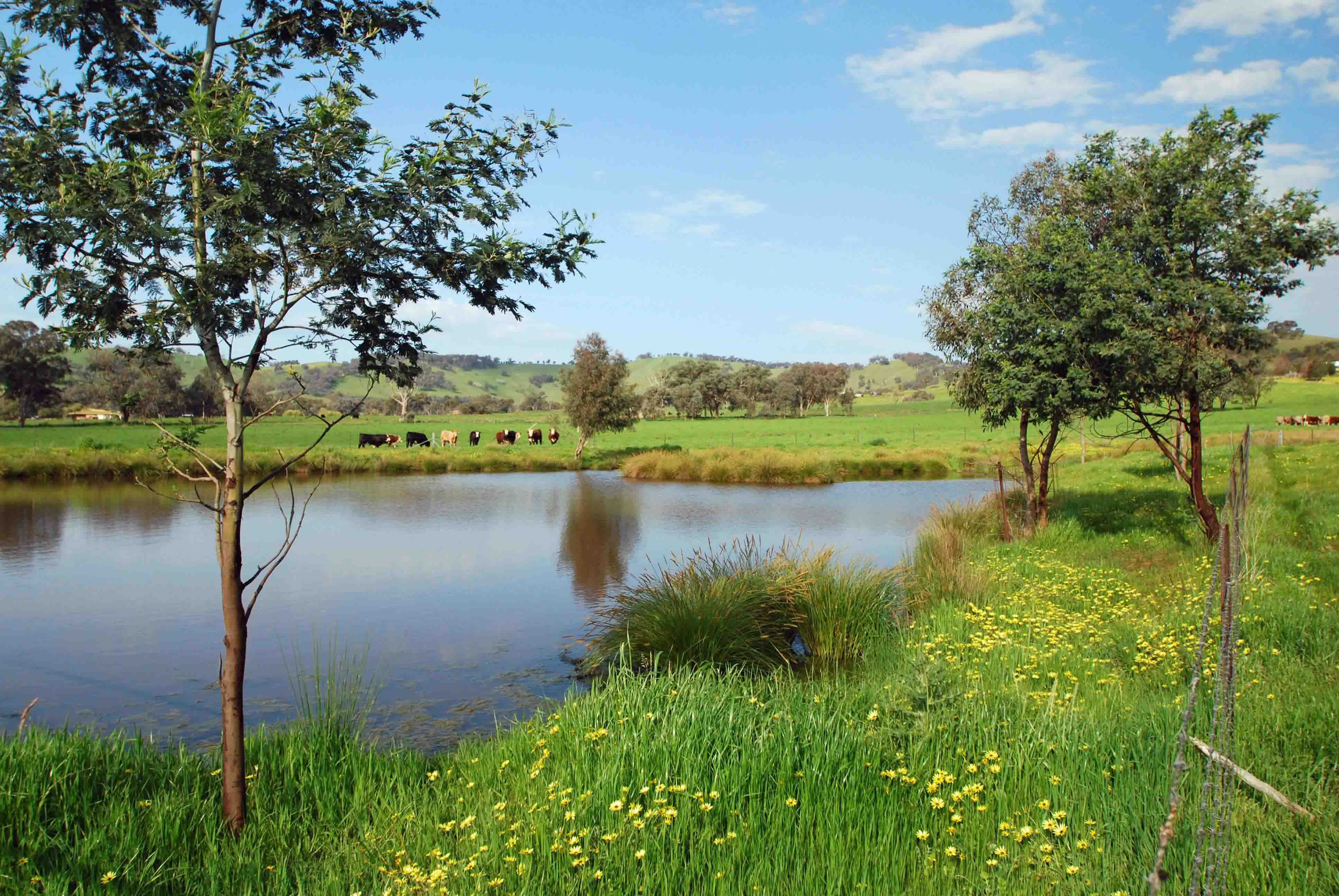 60 Mares Flat Road, INDIGO VALLEY VIC 3688, Indigo Valley - Image 1