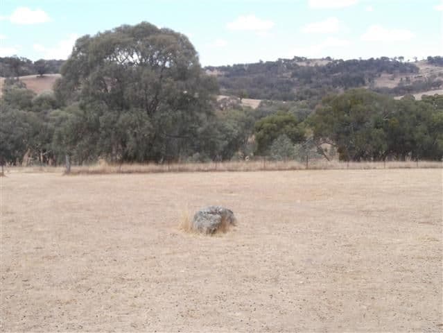 99 Allison Drive, Woodstock NSW 2793, Woodstock - Thumbnail 2