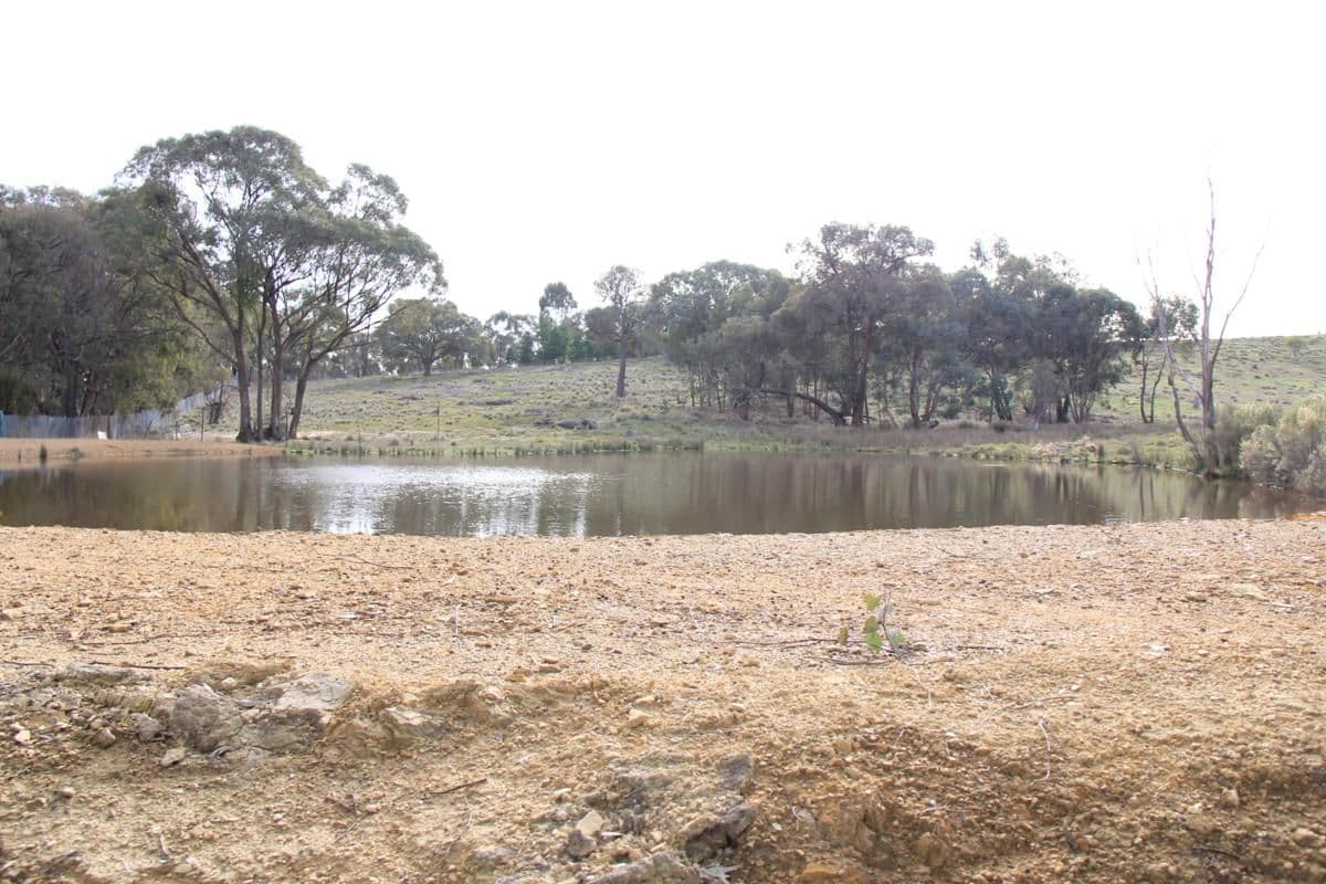 7A Carboon Lane, HEATHCOTE VIC 3523, Heathcote - Thumbnail 6