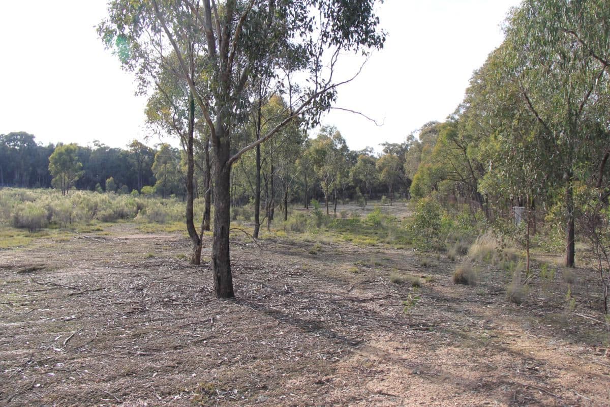 7A Carboon Lane, HEATHCOTE VIC 3523, Heathcote - Thumbnail 5