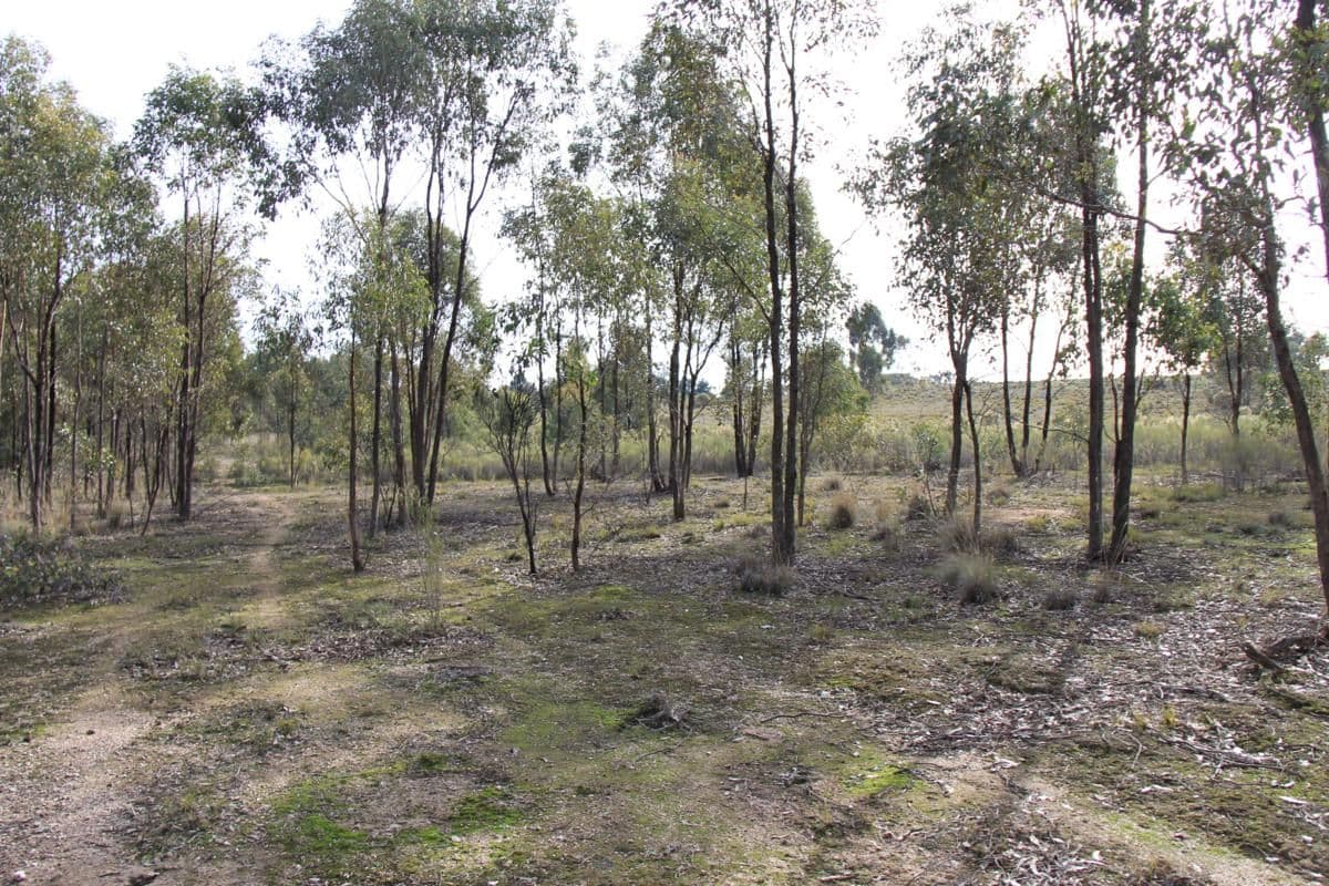 7A Carboon Lane, HEATHCOTE VIC 3523, Heathcote - Thumbnail 2