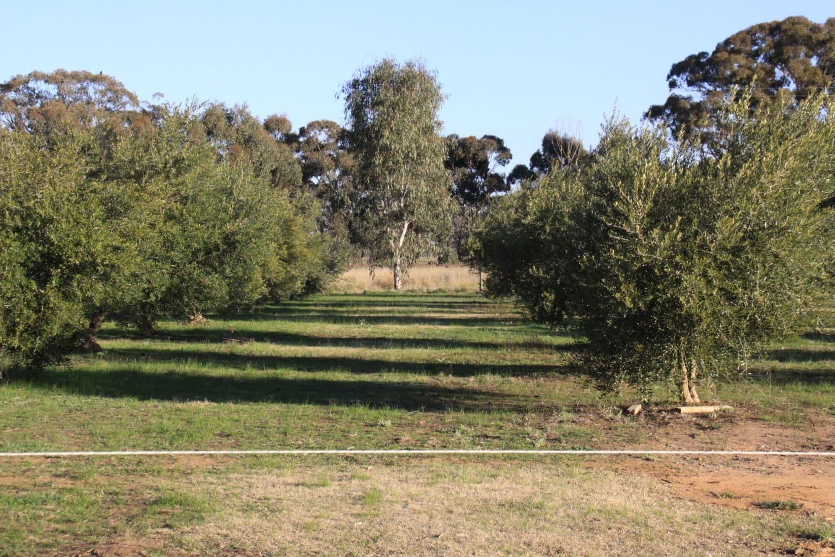 57 Shaw Court, BAGSHOT VIC 3551, Bagshot - Thumbnail 3