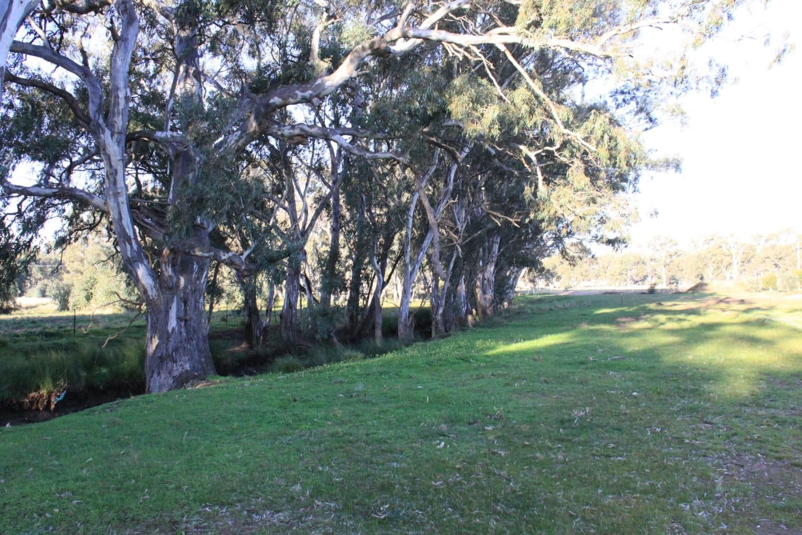 57 Shaw Court, BAGSHOT VIC 3551, Bagshot - Thumbnail 8