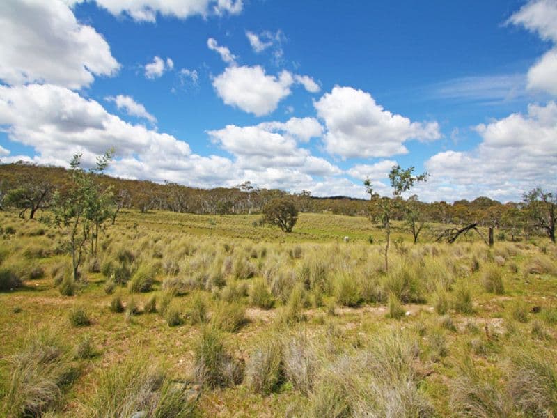 237 Neils Creek Road, Bungendore NSW 2621, Bungendore - Thumbnail 3