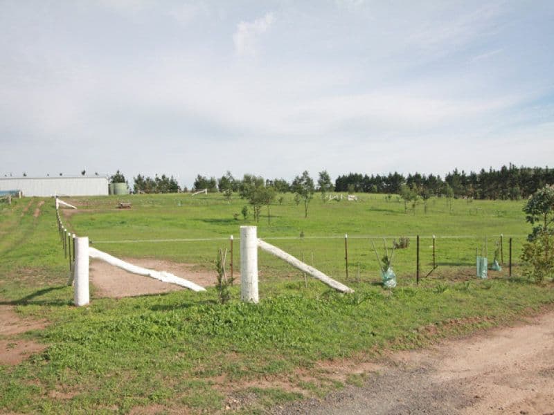 1551 Tarago Road, Bungendore NSW 2621, Bungendore - Thumbnail 2