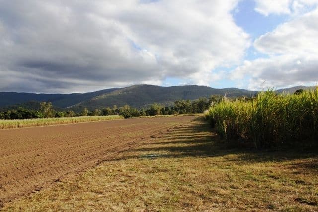 Ingham QLD 4850, Ingham - Thumbnail 3