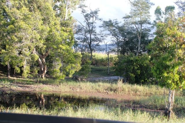 Ingham QLD 4850, Ingham - Thumbnail 5