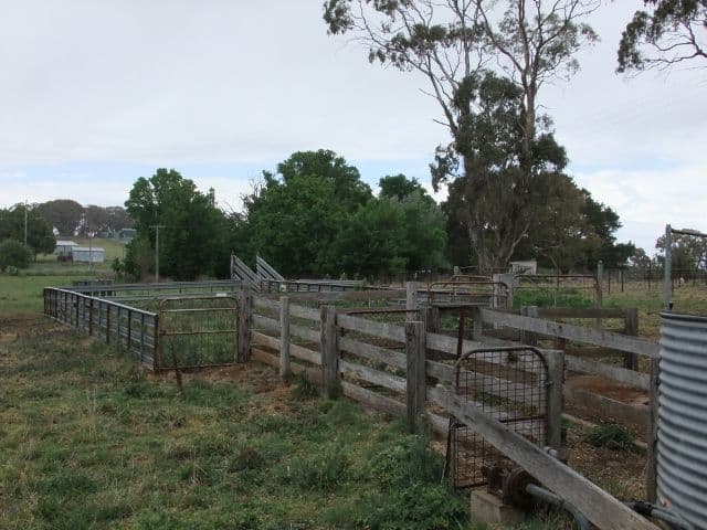 125 Mountain View Parade, Rosanna, Rosanna - Thumbnail 3