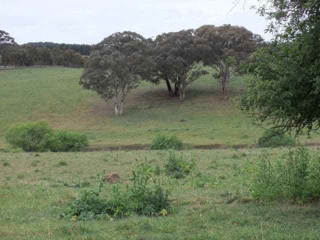 125 Mountain View Parade, Rosanna, Rosanna - Thumbnail 4