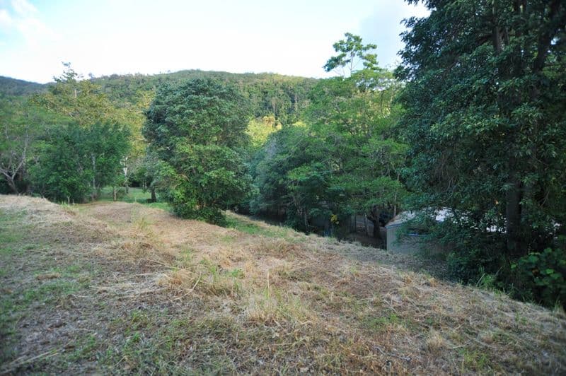 120 Kookaburra Drive, CANNON VALLEY QLD 4800, Cannon Valley - Thumbnail 5