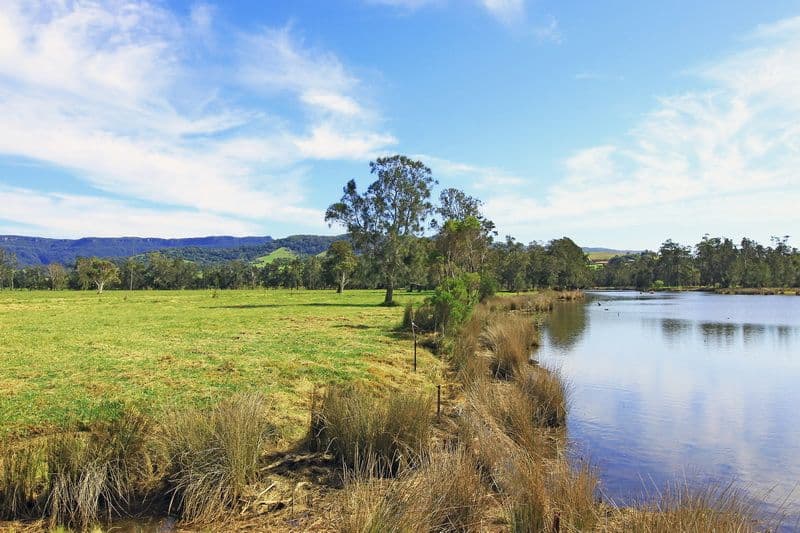 111 Sharpes Lane, GERRINGONG NSW 2534, Gerringong - Thumbnail 5