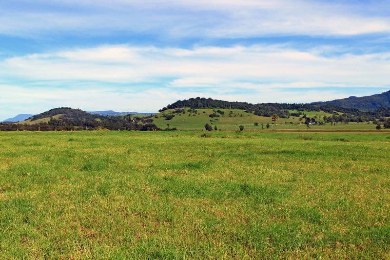 111 Sharpes Lane, GERRINGONG NSW 2534, Gerringong - Thumbnail 7