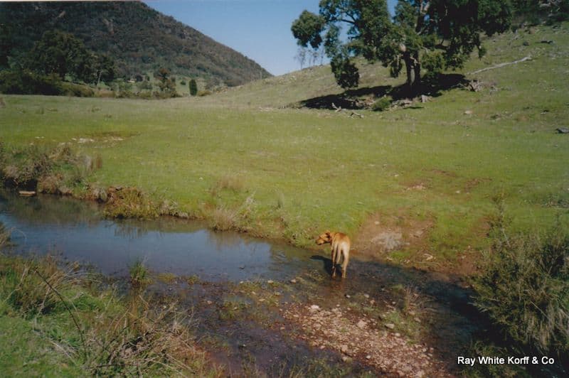 2032 TIMOR Road, COONABARABRAN NSW 2357, Coonabarabran - Thumbnail 6