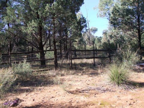 " MAGS ROAD", Baradine NSW 2396, Baradine - Thumbnail 3