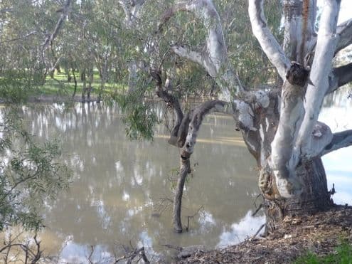 Lot 30 Billabong Creek Drive, Conargo NSW 2710, Conargo - Thumbnail 3