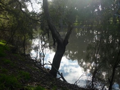 Lot 30 Billabong Creek Drive, Conargo NSW 2710, Conargo - Thumbnail 4