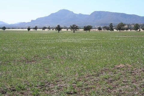 01 Quandong, TOORAWEENAH NSW 2831, Tooraweenah - Image 1