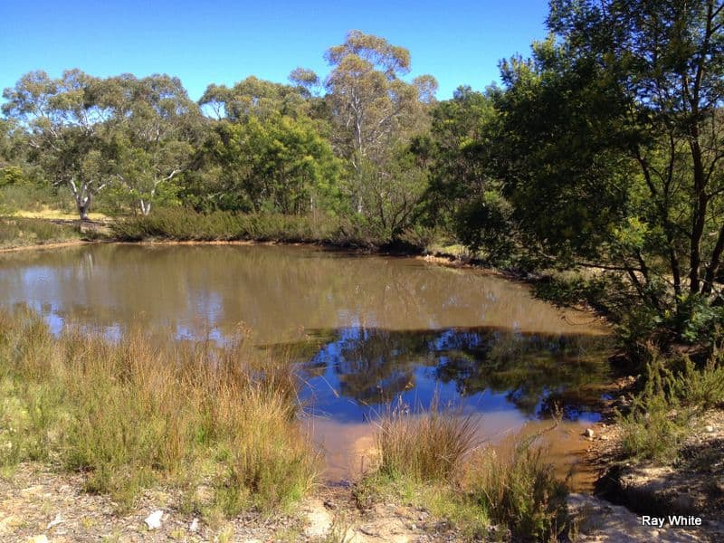1015 Bombay Road, Braidwood NSW 2622, Braidwood - Thumbnail 3