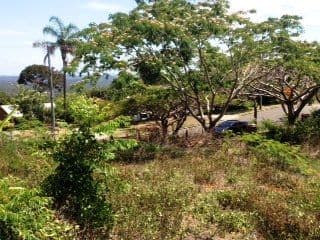 10 Glasshouse View Court, BUDERIM QLD 4556, Buderim - Thumbnail 3