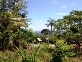 10 Glasshouse View Court, BUDERIM QLD 4556, Buderim - Thumbnail 4