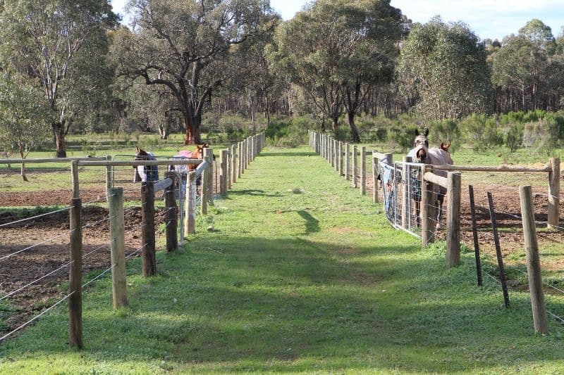 86 Palling Road, HEATHCOTE VIC 3523, Heathcote - Thumbnail 3