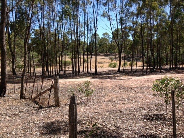 50 Common Dam Track, HEATHCOTE VIC 3523, Heathcote - Thumbnail 6