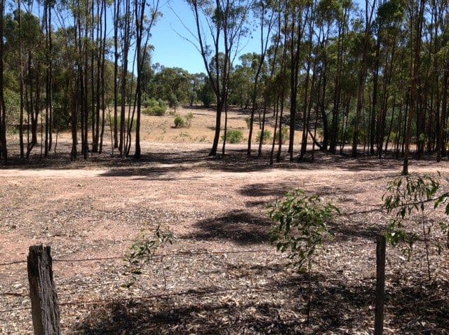 50 Common Dam Track, HEATHCOTE VIC 3523, Heathcote - Thumbnail 7