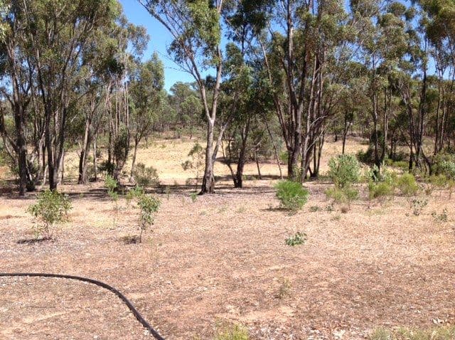50 Common Dam Track, HEATHCOTE VIC 3523, Heathcote - Thumbnail 8