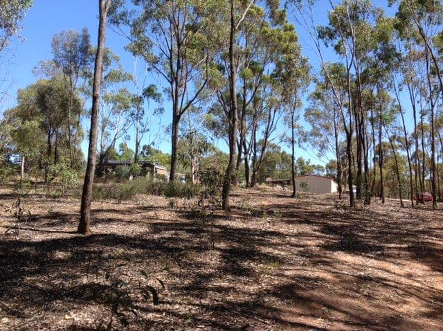 50 Common Dam Track, HEATHCOTE VIC 3523, Heathcote - Image 1