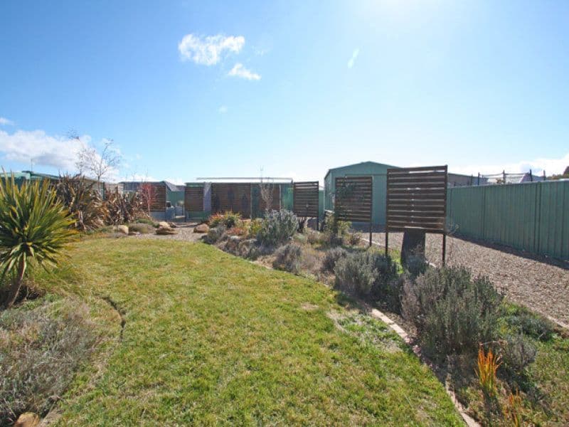 12 McMahon Drive, Bungendore NSW 2621, Bungendore - Thumbnail 4