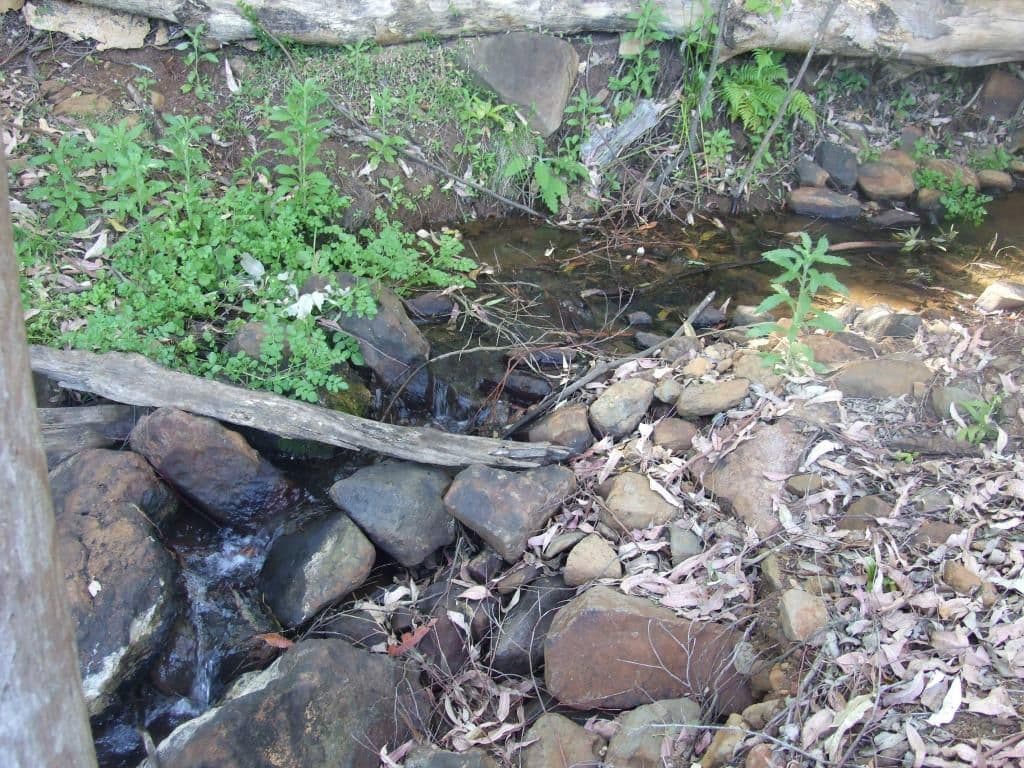 L57 Murphy Road, Ravensbourne QLD 4352, Ravensbourne - Thumbnail 2