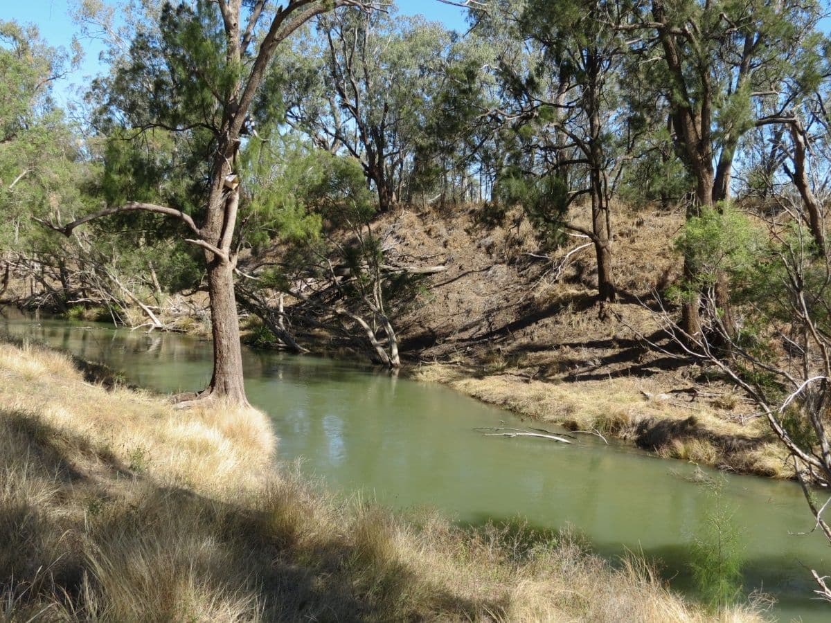 Lot 3 Donohoe Road, Emerald QLD 4720, Emerald - Thumbnail 5