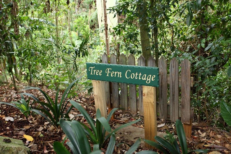 2146 Mount Glorious Road, MOUNT GLORIOUS QLD 4520, Mount Glorious - Thumbnail 2