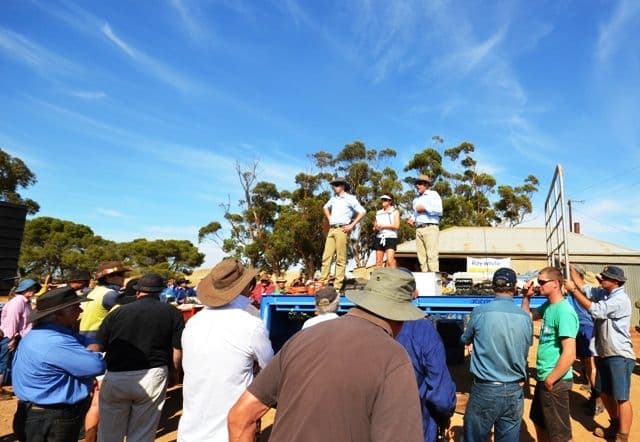 Clearing Sale Braefoot Road, BURRA SA 5417, Burra - Image 1
