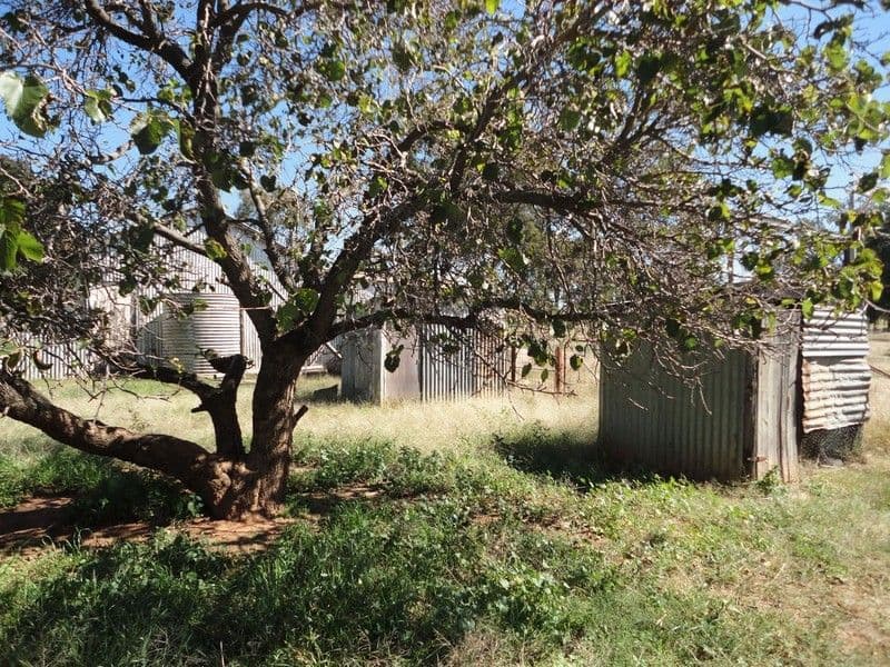 45 Airport Street, TEMORA NSW 2666, Temora - Thumbnail 7