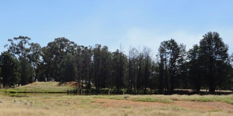 45 Airport Street, TEMORA NSW 2666, Temora - Thumbnail 5