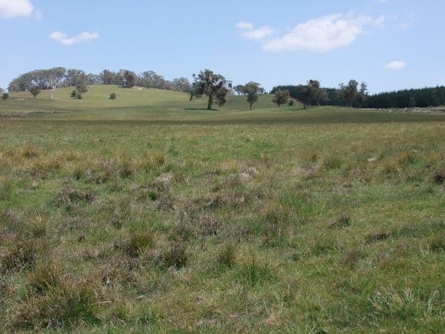 BATHURST NSW 2795, Bathurst - Thumbnail 6