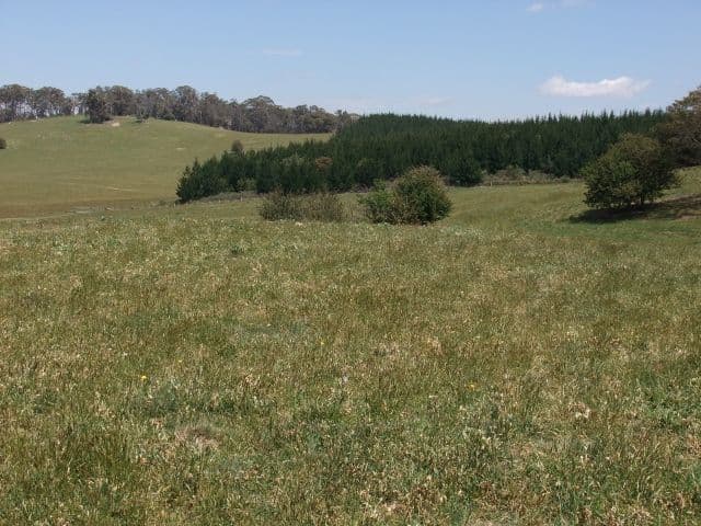 BATHURST NSW 2795, Bathurst - Thumbnail 7
